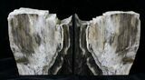 Small Oregon Petrified Wood Bookends - Oak #19521-1